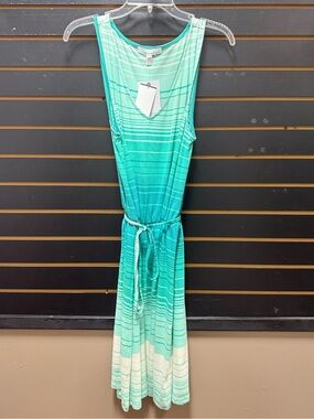 Fourteenth Place Mint Green Striped Sleeveless Midi Dress Womens Large NWT